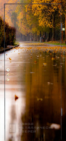 Фото «Дверь с фотопечатью №5» в Аперелевке