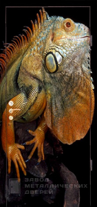 Фото «Дверь с фотопечатью №7» в Аперелевке