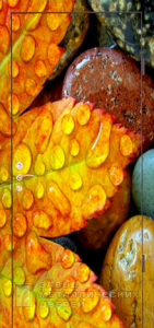 Фото «Дверь с фотопечатью №9» в Аперелевке