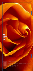 Фото «Дверь с фотопечатью №11» в Аперелевке